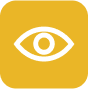 eye icon